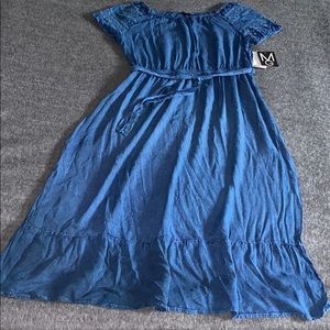 Mlle Gabrielle Plus Size Casual Denim Dress